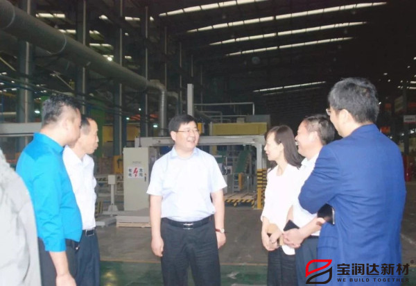 副市長張雪飛蒞臨寶潤達(dá)參觀調(diào)研
