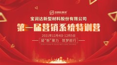 凝“新”聚力，筑夢前行丨寶潤達(dá)營銷系統(tǒng)特訓(xùn)